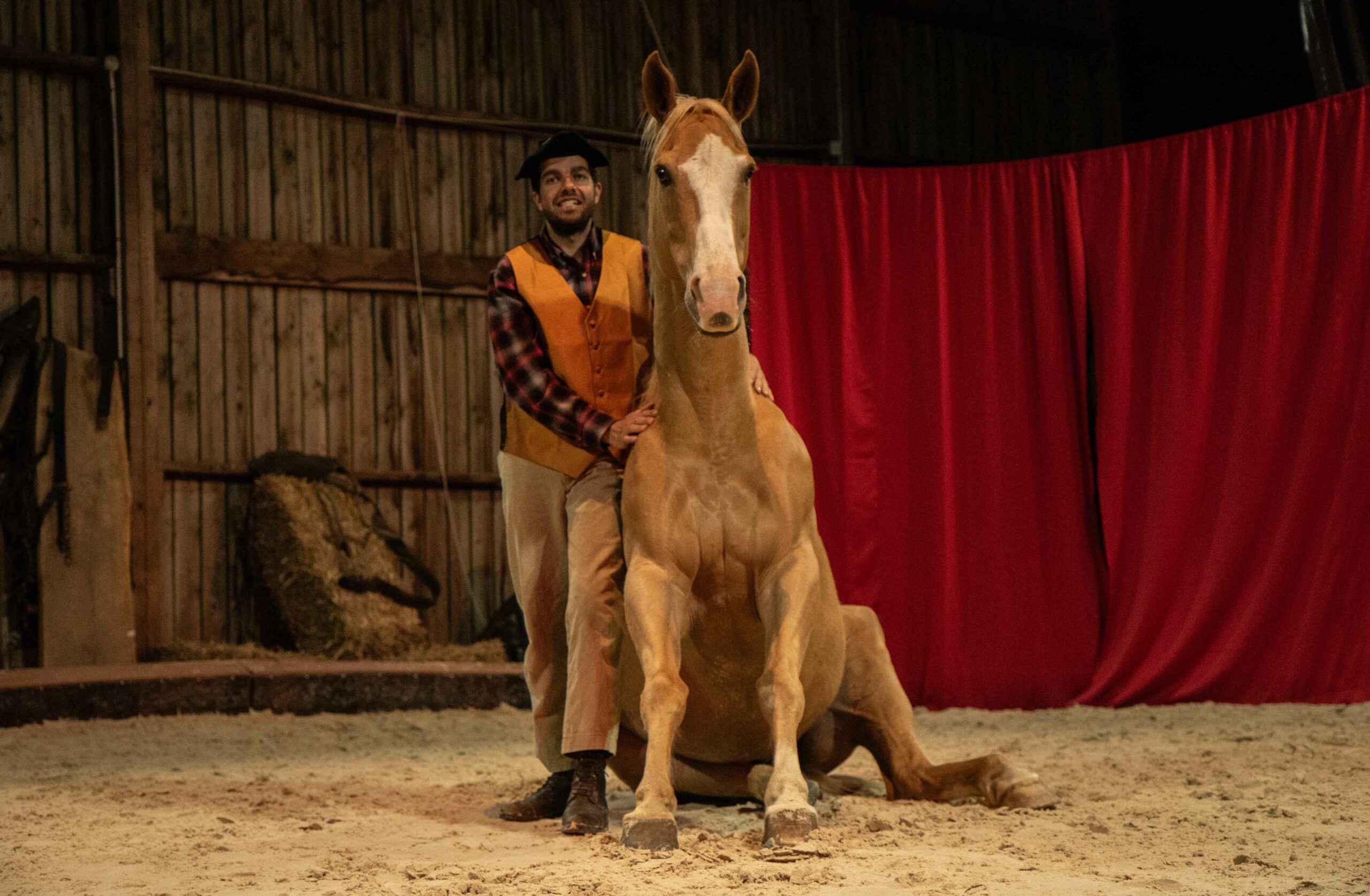 Le Fabuleux Destin de Felicien
