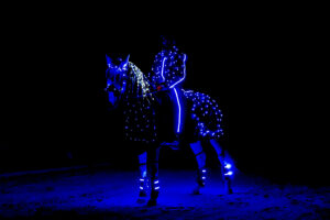 Feerie Nocturne
