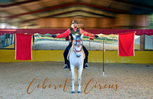 Cabaret circus