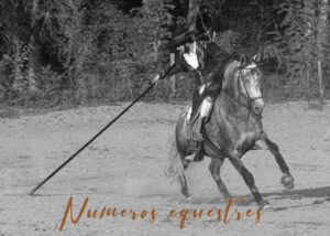 Numeros equestres