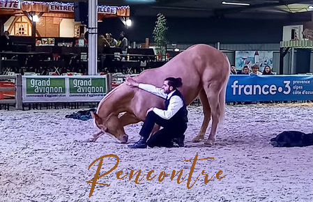 Rencontre